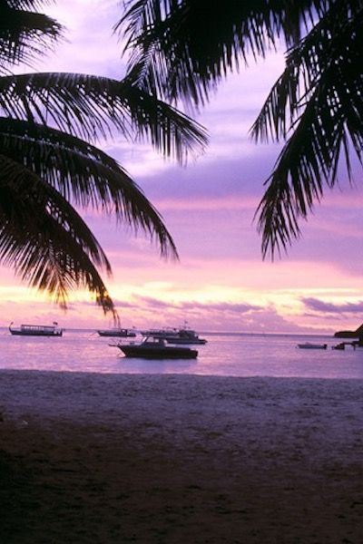 猜谜语题目:牛市就顶《打一个安全警示语》