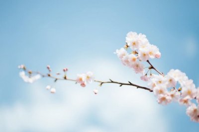 大勇向小伙伴们吹嘘说：今天上课的时候_老师提了一个问题_全班除了他没有一个