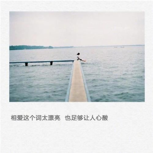 世纪将交收澳门 《打一成语》