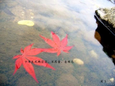共工触不周山 《打一成语》