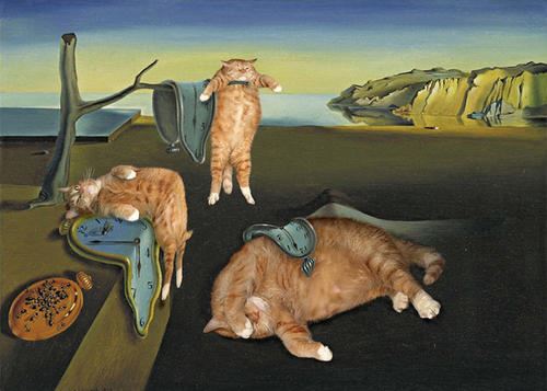 “一雁带秋来”　《猜飞禽》