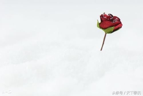 宋太祖一弈输华山 《成语_卷帘格》