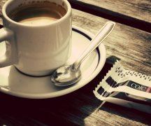 两盏灯,两把扇,四把油锤两把钻《打一个动物》