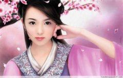 兰秀五丈原 《打一成语》