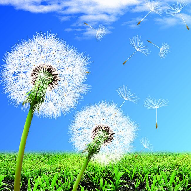 西子美甚 《唐人》