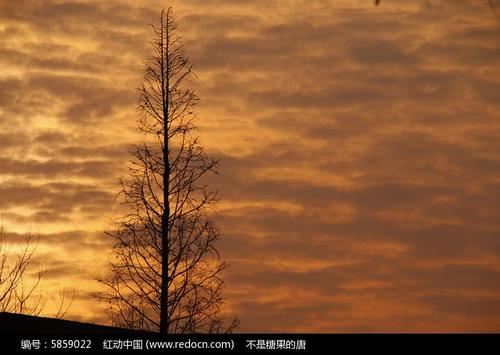 嵇康受刑_致广陵绝响；子期辞世_而伯牙摔琴 《4字金融用语》