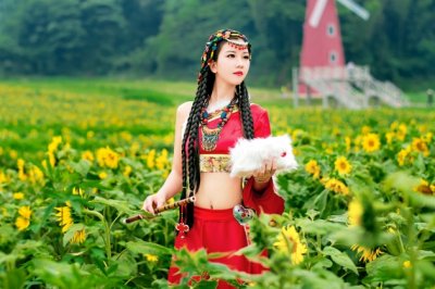 高低两座斜拉桥 《多字成语》