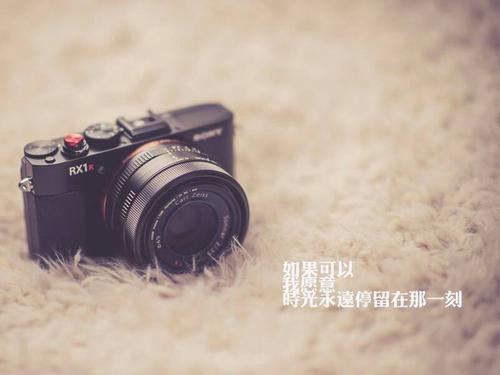 嘉定 《打一成语》