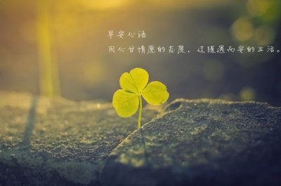 一个白发老妈妈_ 走起路来四边爬_ 不用铁?不用锄_ 种下一片好芝麻